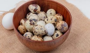 Dampak Terlalu Banyak Mengonsumsi Telur Puyuh pada Kesehatan