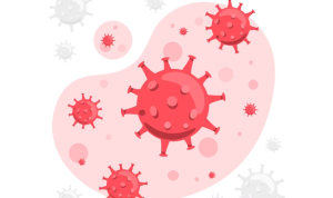 Kasus Pertama di Dunia Seorang Wanita di Jepang Meninggal karena Virus Oz Virus Oz