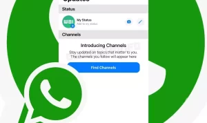 fitur channel whatsapp