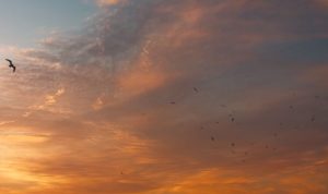 Prakiraan Cuaca Bandung Hari ini, Jumat, 16 Juni 2023 Prakiraan Cuaca Bandung Hari ini, Jumat, 16 Juni 2023