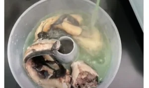 Tangkapan layar video pembuatan puding lele yang kini tengah viral. (TikTok)