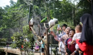 Kebun Binatang Bandung
