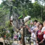 Kebun Binatang Bandung