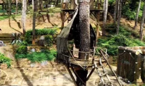 Wisata Kampung Ciherang, Tempat Wisata Sumedang yang Wajib Kamu Coba Minimal Seumur Hidup Sekali!