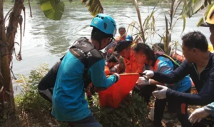 Upaya evakuasi oleh tim SAR gabungan terhadap korban bocah yang tenggelam di Karawang. (dok Polsek Teluk Jambe Timur)
