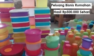 Inspirasi peluang bisnis rumahan yang bisa di coba ibu rumah tangga.