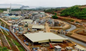 IMF Minta Pemerintahan RI Cabut Larangan Ekspor Nikel