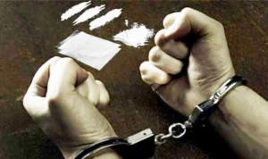 Ilustrasi. 5 pegawai Pemkab Purwakarta ditangkap polisi, diduga pesta narkoba jenis sabu-sabu di di kompleks kantor Bupati Anne Ratna Mustika. (Istimewa)