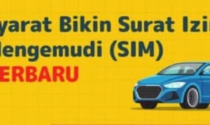 Catat Sekarang! Syarat Bikin Surat Izin Mengemudi (SIM) Terbaru Catat Sekarang! Syarat Bikin Surat Izin Mengemudi (SIM) Terbaru