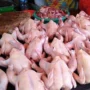 Kok Bisa ? Harga Ayam di Peternak Turun tapi di Pasar Tidak ?