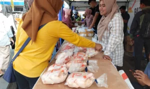 Harga Ayam Potong Meroket, Imbas Tingginya Harga Pakan!