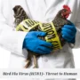 Wabah Flu Burung Menerjang Korea Selatan, Sejumlah Kucing Tewas Dalam Jumlah Besar!
