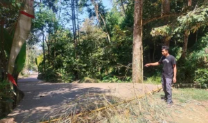 Wisata Alam Curug Ciputrawangi Kini Sudah Bisa Diakses Menggunkaan Mobil