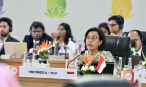 Indonesia Encourages Joint Efforts to Address Global Challenges at AFCDM-WG