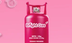 Harga Gas LPG Non Subsidi Resmi Turun/ Tangkap Layar Situs Bright Gas.