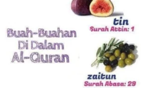 buah penurun kolesterol yang disebut di al-quran