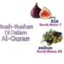 Rahasia Buah Tin dan Zaitun sebagai Obat Penurun Kolesterol yang Disebut di Al-Quran buah penurun kolesterol yang disebut di al-quran