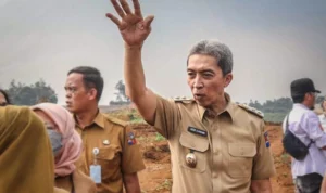 Keberadaan Sekolah untuk tingkat SMP dan SMA di Kota Bogor dikatakan belum ideal. Pada 2024 nanti berencana membangun sekolah negeri baru
