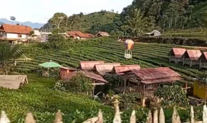 Kisah Kampung Cisoka yang Disulap Menjadi Wisata Alam