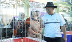 Kota cimahi menjadi tuan rumah penyelenggaraan shamo expo 3 tahun 2023 yang menjadi ajang kontes Ayam hias dan binatang reptil.