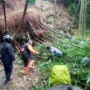Pelebaran Jalan di Kolmas Tumbangkan Puluhan Bambu Hingga Menutup Akses Jalan