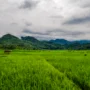 Integrated Farming Sumedang