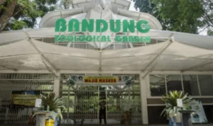 Pemkot Bandung melalui Plh Wali Kota Bandung Ema Sumarna menegaskan akan mengambil sikap terkait polemik Kebun Binatang Bandung. ANTARA/Novrian Arbi.