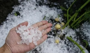 Northern Italy Experiences Hail, While the South is Scorched by Heat