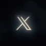 Logo X Twitter/Foto: Twitter (Sawyer Merritt)