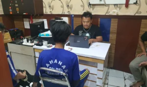 Tanam Ganja di Rumah, Warga Citamiang Kota Sukabumi Dibekuk Polisi Tanam Ganja di Rumah, Warga Citamiang Kota Sukabumi Dibekuk Polisi