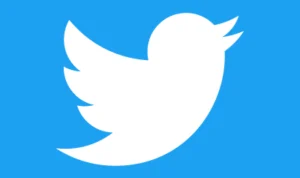 Pendapatan Iklan Twitter Anjlok 50 Persen, Apa Rencana Elon Musk Menghadapi Krisis Ini?
