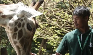 Rekomendasi Wisata Murah yang Ada di Bandung! (@bandung_zoo)