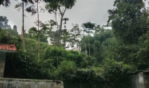 Paniisan Cippo, salah satu wisata air di Bandung