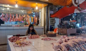 Penjual ayam potong