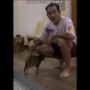 Densu dan Kucing yang ditolongnya