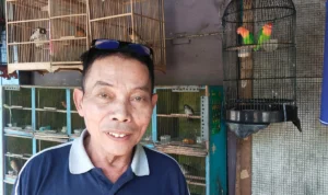 Para Pegiat Kicau Mania Kembali Heboh, Pedagang Burung Cimayor Sumedang Harapkan Ekonomi Kembali Membaik Para Pegiat Kicau Mania Kembali Heboh, Pedagang Burung Cimayor Harapkan Ekonomi Kembali Membaik