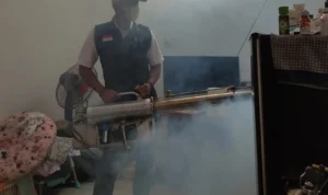 Terdapat 3 Kasus DBD, Desa Cicalengka Wetan Bentuk Satgas Fogging 