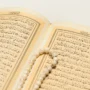Aksi Penistaan Al-Qur'an yang Dilakukan Seorang Pria Irak di Swedia