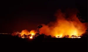 Imbas El Nino, BPBD Bandung Barat Imbau Waspadai Kebakaran Hutan dan Lahan Ilustrasi kebakaran hutan dan lahan (Karhutla). Kamis (27/23). Dok Pixabay.com