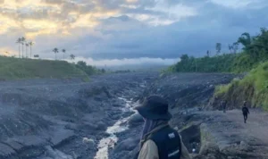 Apa Itu KKN? Apakah Ada Tujuan dan Manfaatnya? Apa Itu KKN? Apakah Ada Tujuan dan Manfaatnya?