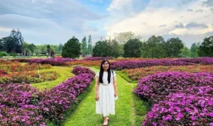 6 Rekomendasi Tempat Wisata di Puncak Bogor dengan Keindahan Alam yang Mempesona! 6 Rekomendasi Tempat Wisata di Puncak Bogor Keindahan Alam