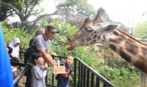 Anggota Aktif, Managemen Bandung Zoo Sayangkan Langkah Pemkot yang akan Gandeng PKBSI