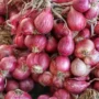 Masuki Panen Raya, Harga Bawang Merah Anjlok, Petani Keluhkan Ini