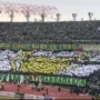 Bonek Persebaya