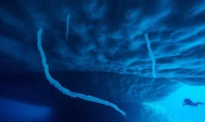 Mengenal Fenomena Brinicle, Tornado Bawah Laut yang Menakjubkan Fenomena brinicle menakjubkan yang harus anda ketahui