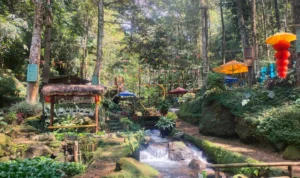 Curug Ciputrawangi Sumedang Tawarkan Wisata Alam Kekinian