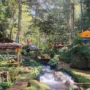 Curug Ciputrawangi Sumedang Tawarkan Wisata Alam Kekinian Curug Ciputrawangi Sumedang Tawarkan Wisata Alam Kekinian