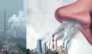 Dampak Bahaya Pencemaran Polusi Udara di Indonesia