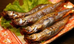 Lagi Viral di TikTok Ikan Shisamo, Ternyata Ini Manfaatnya untuk Kesehatan