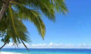 Pantai Cibuaya Sukabumi, Surga Tersembunyi dari Sukabumi yang Layak Kamu Kunjungi! Pantai Cibuaya Sukabumi, Surga Tersembunyi dari Sukabumi yang Layak Kamu Kunjungi!